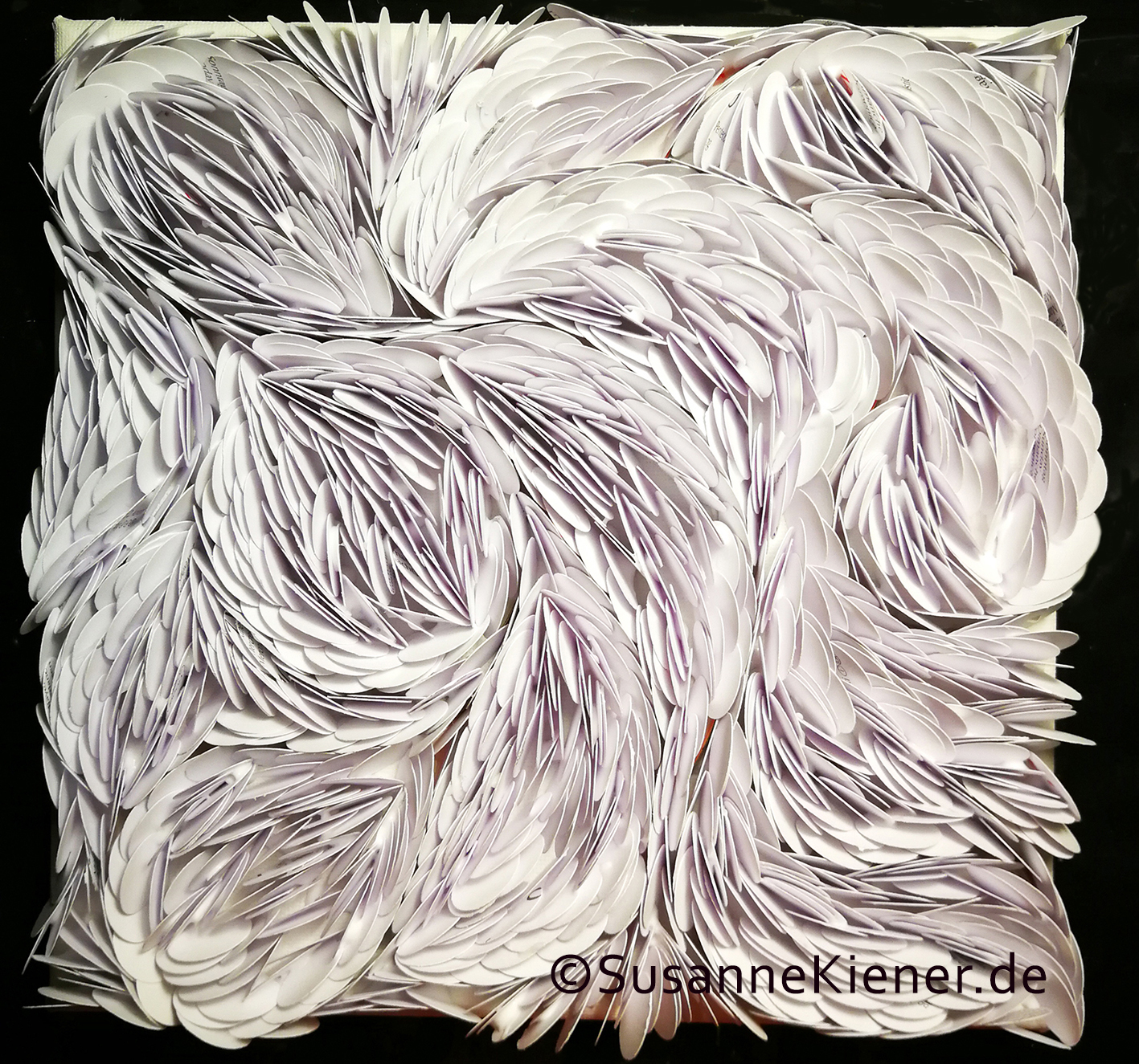 "Seeanemone"
